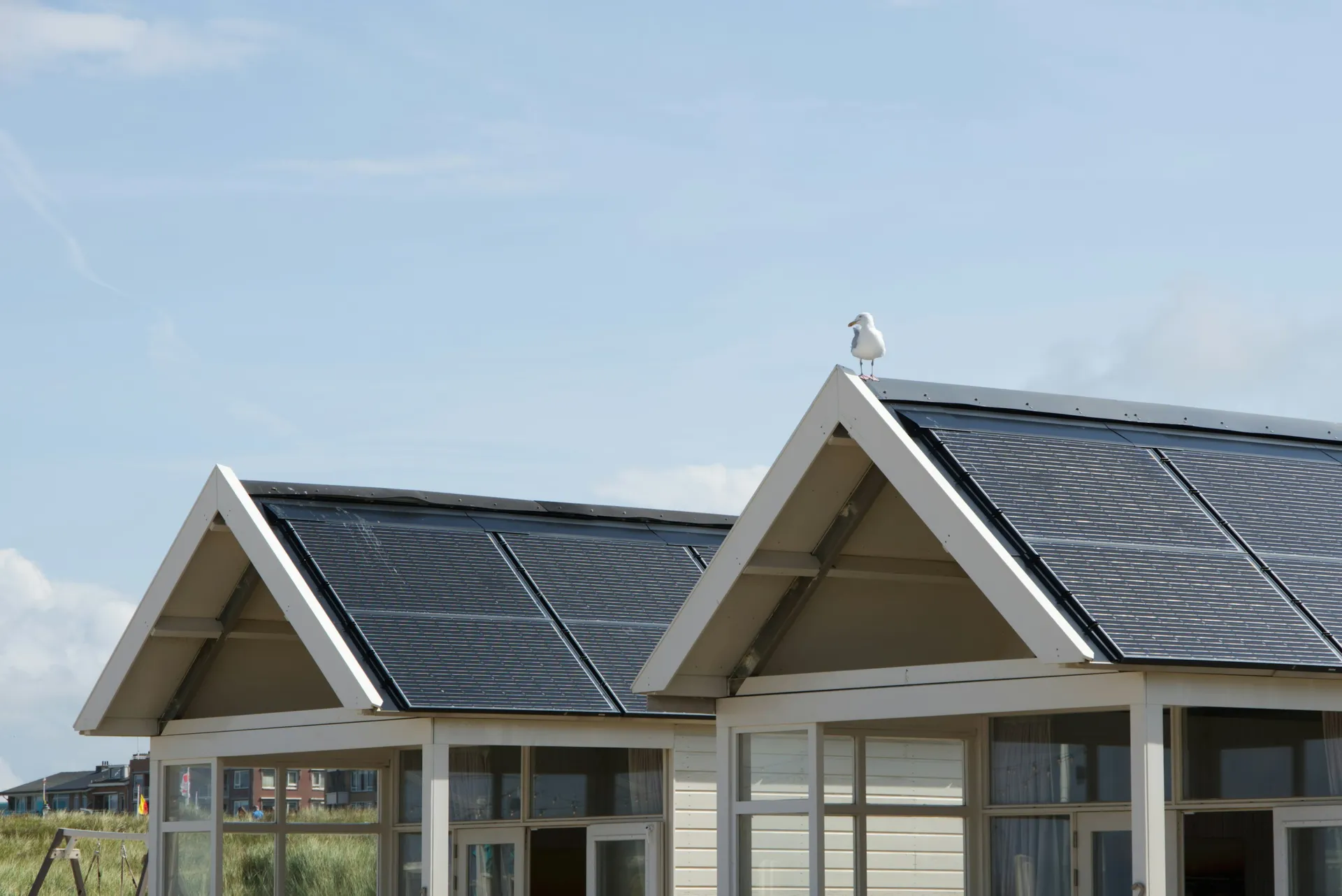 Solar panels under a bright Florida sky
